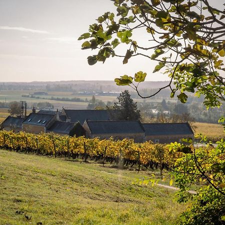 Domaine Beausejour Bed & Breakfast Panzoult Bagian luar foto