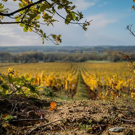 Domaine Beausejour Bed & Breakfast Panzoult Bagian luar foto