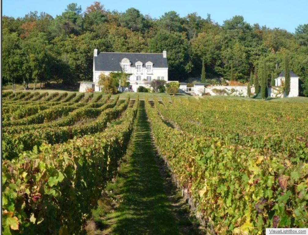 Domaine Beausejour Bed & Breakfast Panzoult Bagian luar foto