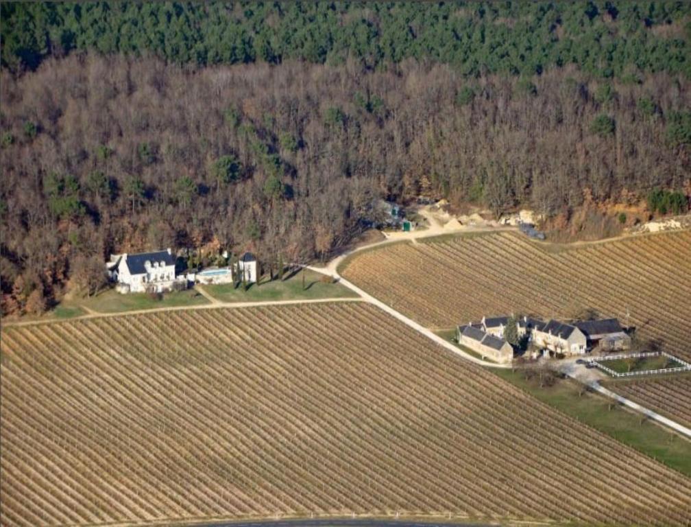 Domaine Beausejour Bed & Breakfast Panzoult Bagian luar foto