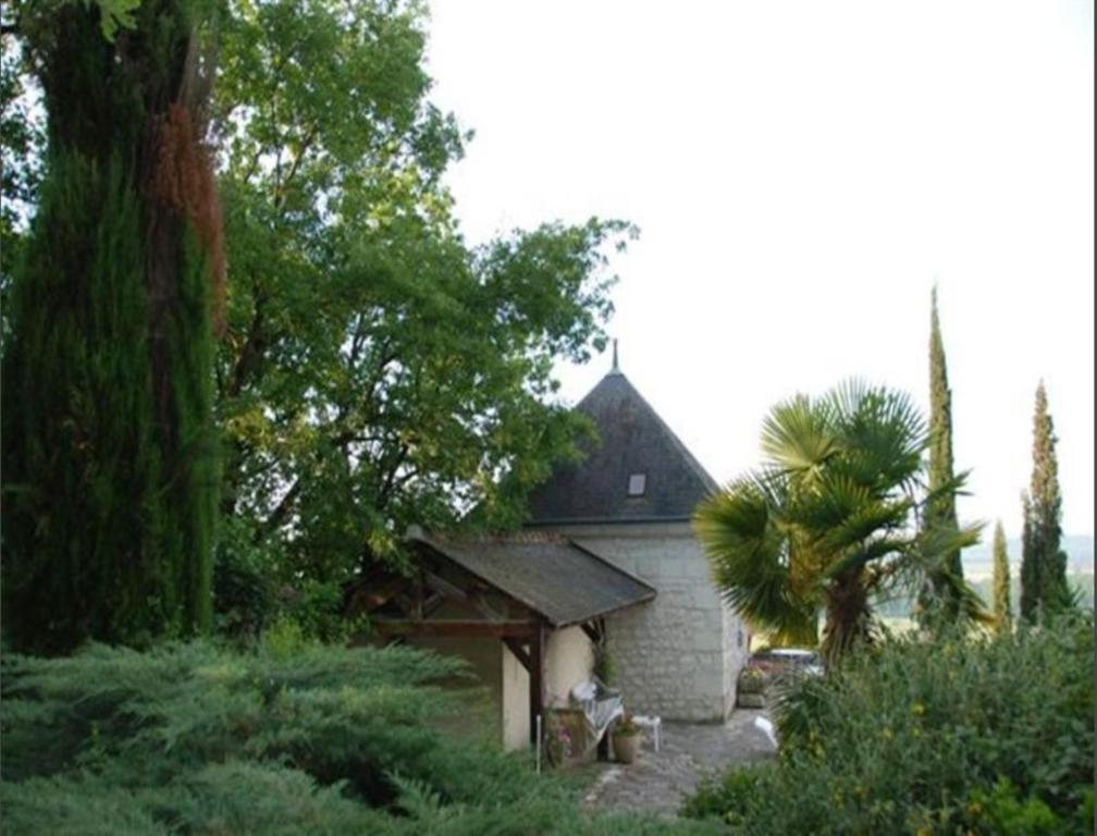 Domaine Beausejour Bed & Breakfast Panzoult Bagian luar foto